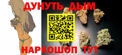 сатива Пушкино