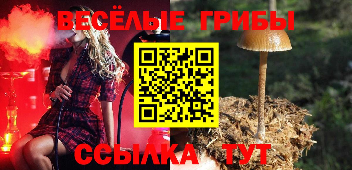 Галлюциногенные грибы Magic Shrooms  Вход с VPN  Новороссийск 